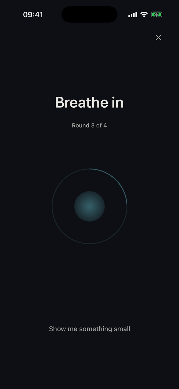 The Panic Button screen: a soft orb expands and contracts through a paced breathing cycle, round one of four.